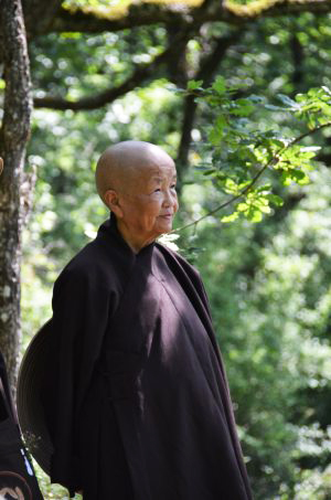 20150416 Bhiksuni Chan Kong Pemahaman Keliru Menyingkirkan Perdamaian dan Membawa Penderitaan_2
