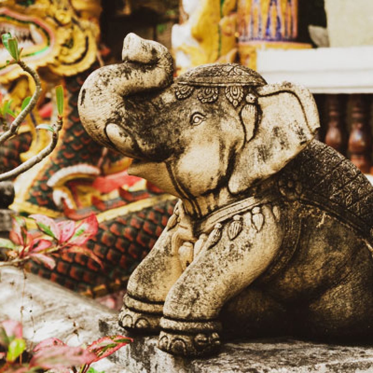 BuddhaZine | Arti, Makna, dan Fungsi Vihara