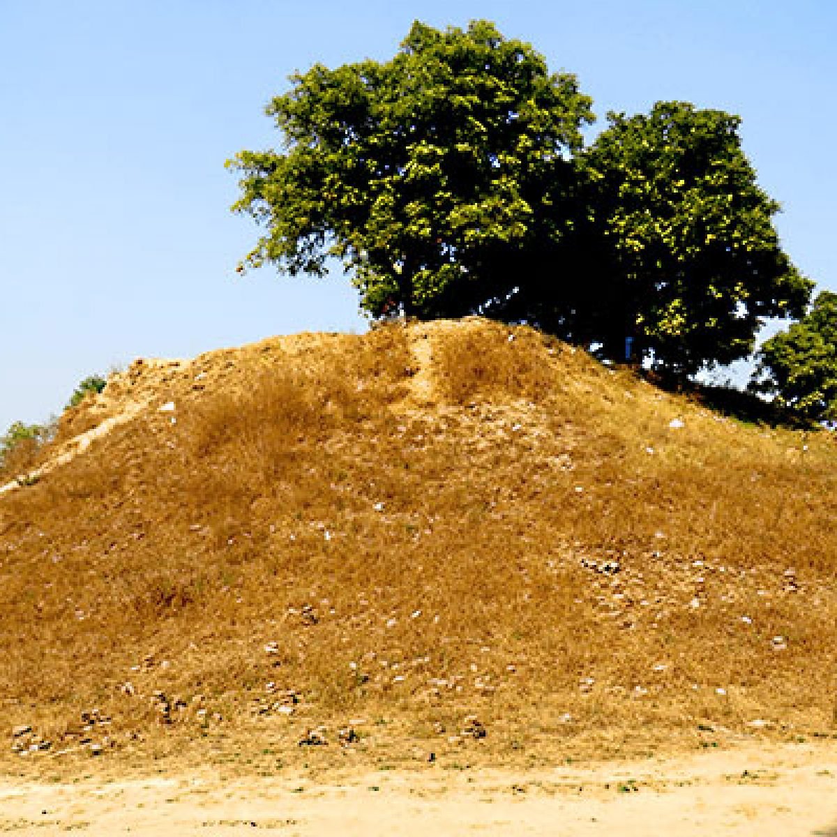 Sankasia, Kota Bersejarah Tempat Suci Umat Buddha – Buddhazine