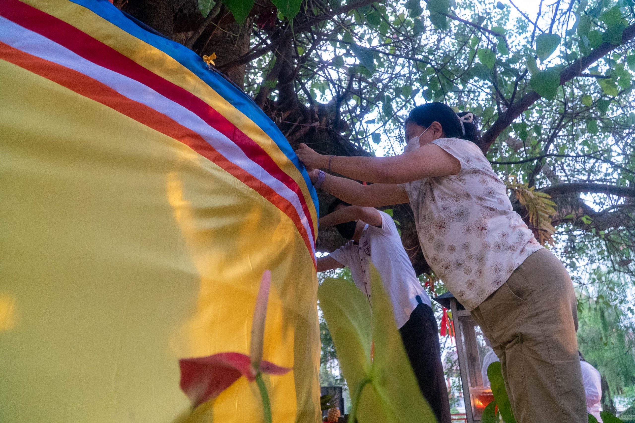 Upacara Penggantian Kain Kuning, Wujud Penghormatan kepada Pohon Bodhi