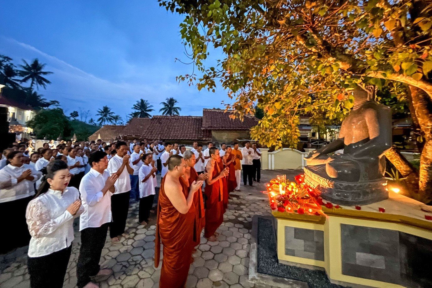 Yuqori sifatli erotik porno videolar